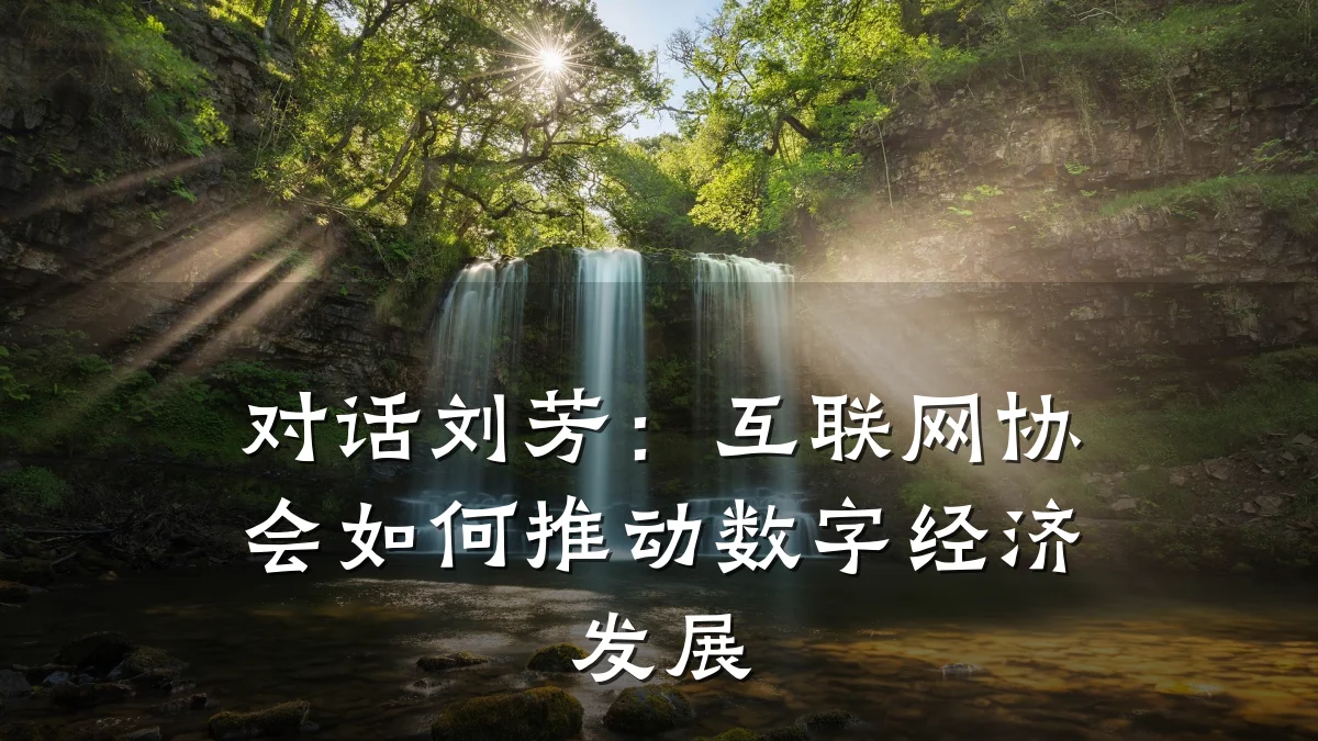 对话刘芳:互联网协会如何推动数字经济发展