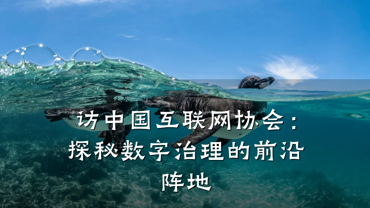 访中国互联网协会：探秘数字治理的前沿阵地