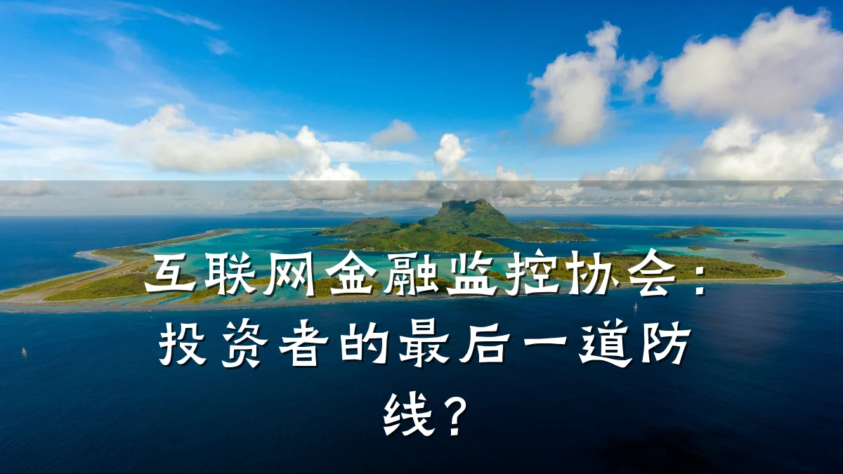 互联网金融监控协会:投资者的最后一道防线?