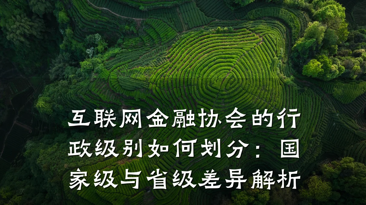 互联网金融协会的行政级别如何划分:国家级与省级差异解析