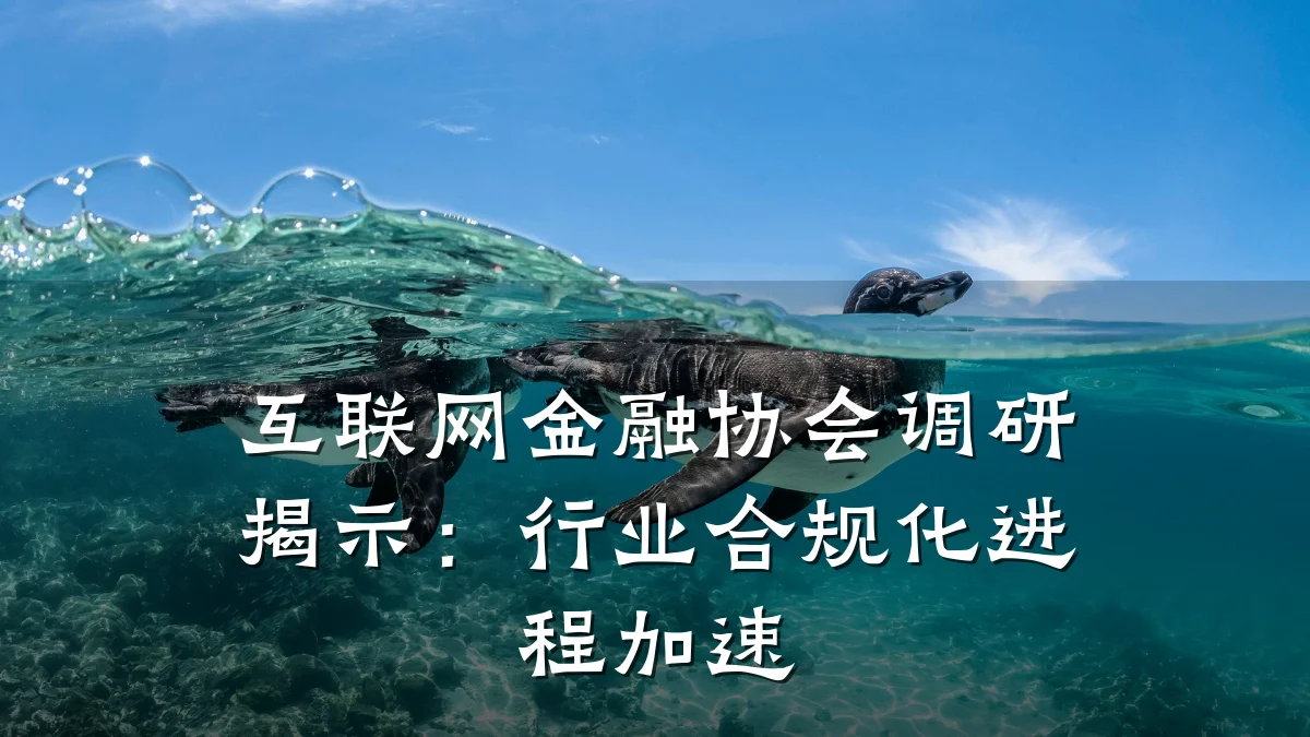 互联网金融协会调研揭示:行业合规化进程加速