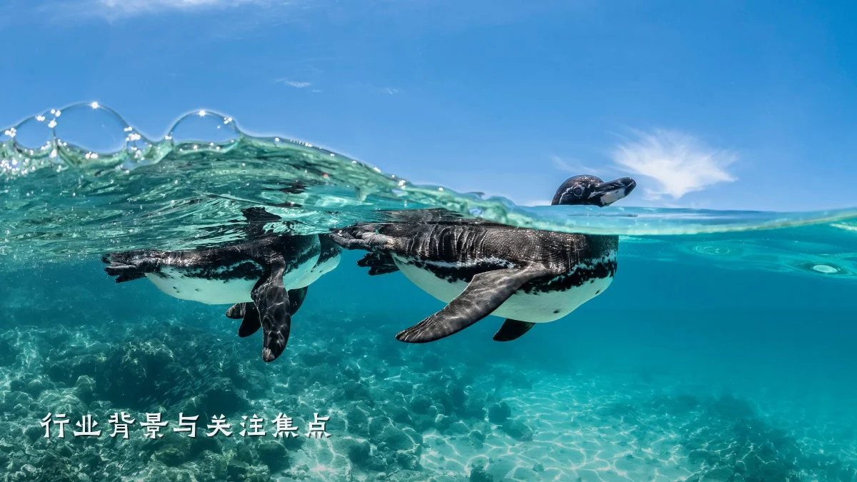 行业背景与关注焦点