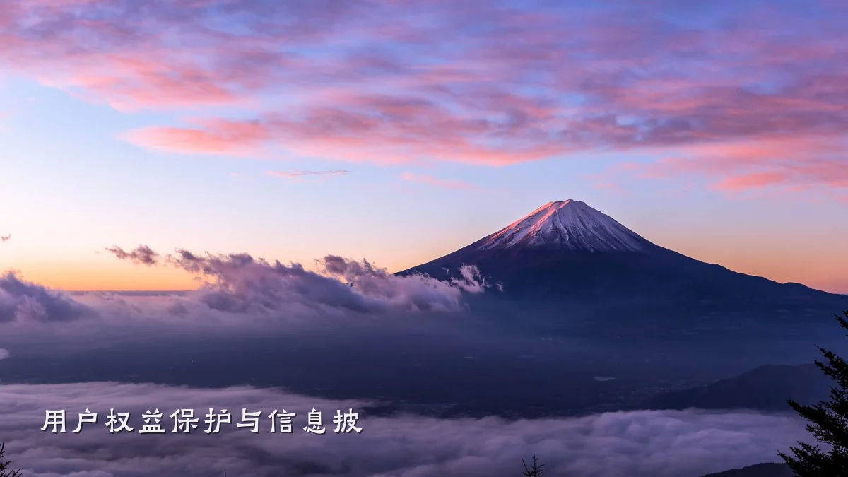 用户权益保护与信息披