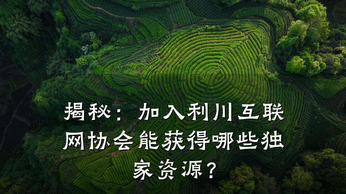 揭秘:加入利川互联网协会能获得哪些独家资源?