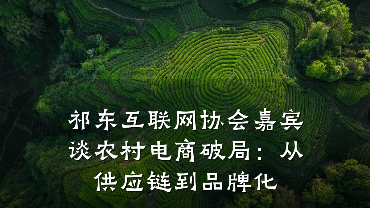 祁东互联网协会嘉宾谈农村电商破局：从供应链到品牌化