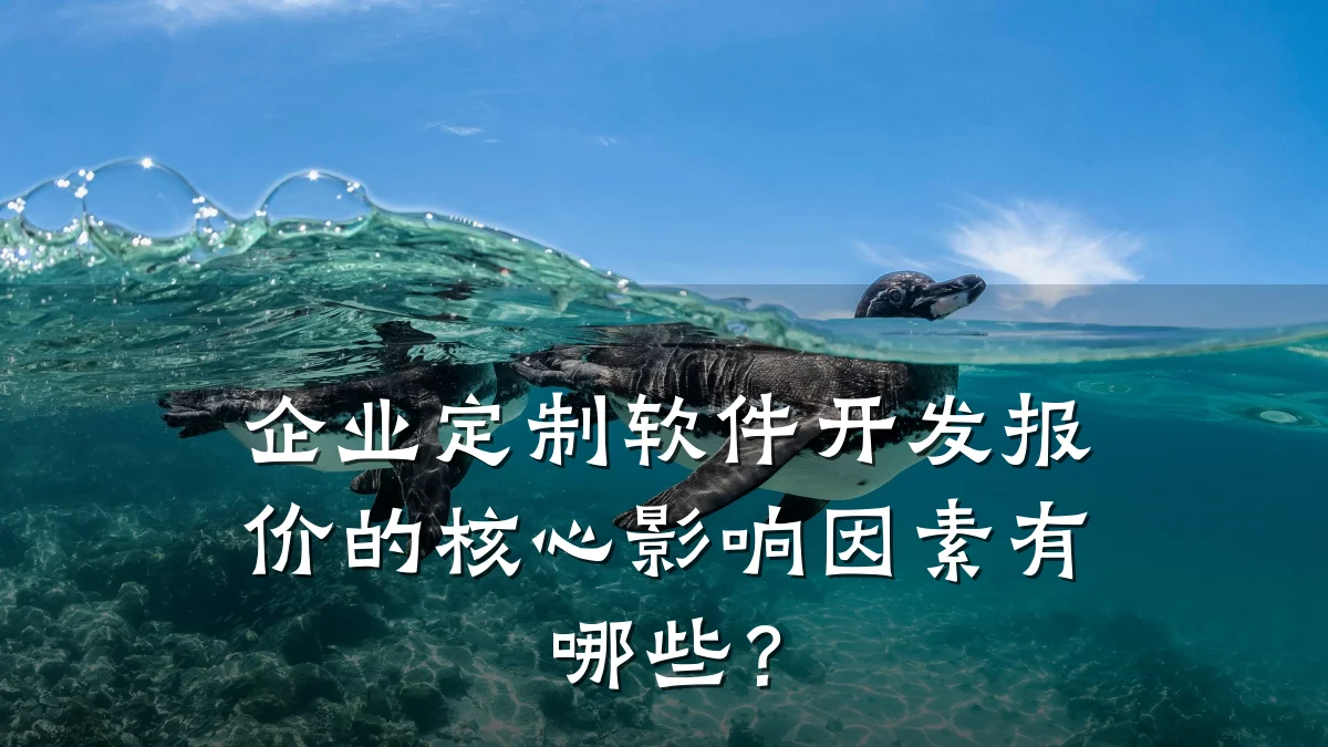 企业定制软件开发报价的核心影响因素有哪些?