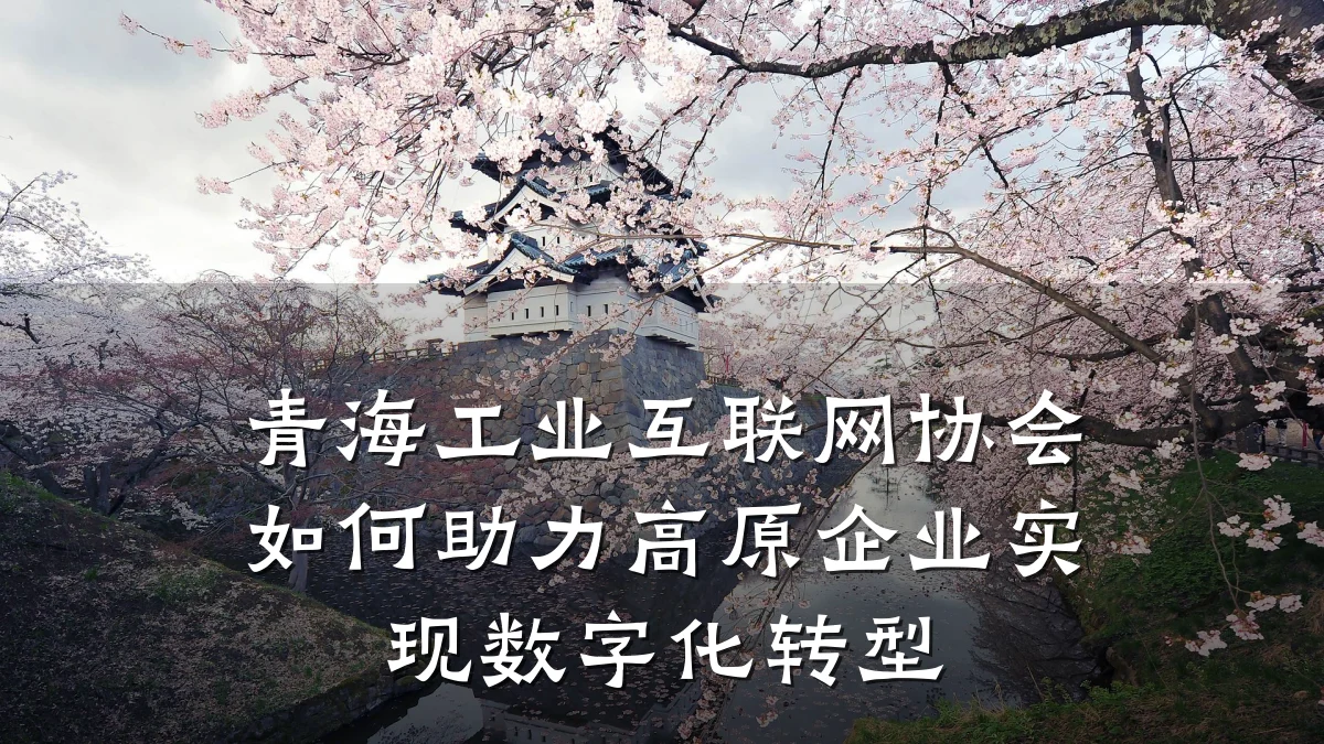青海工业互联网协会如何助力高原企业实现数字化转型