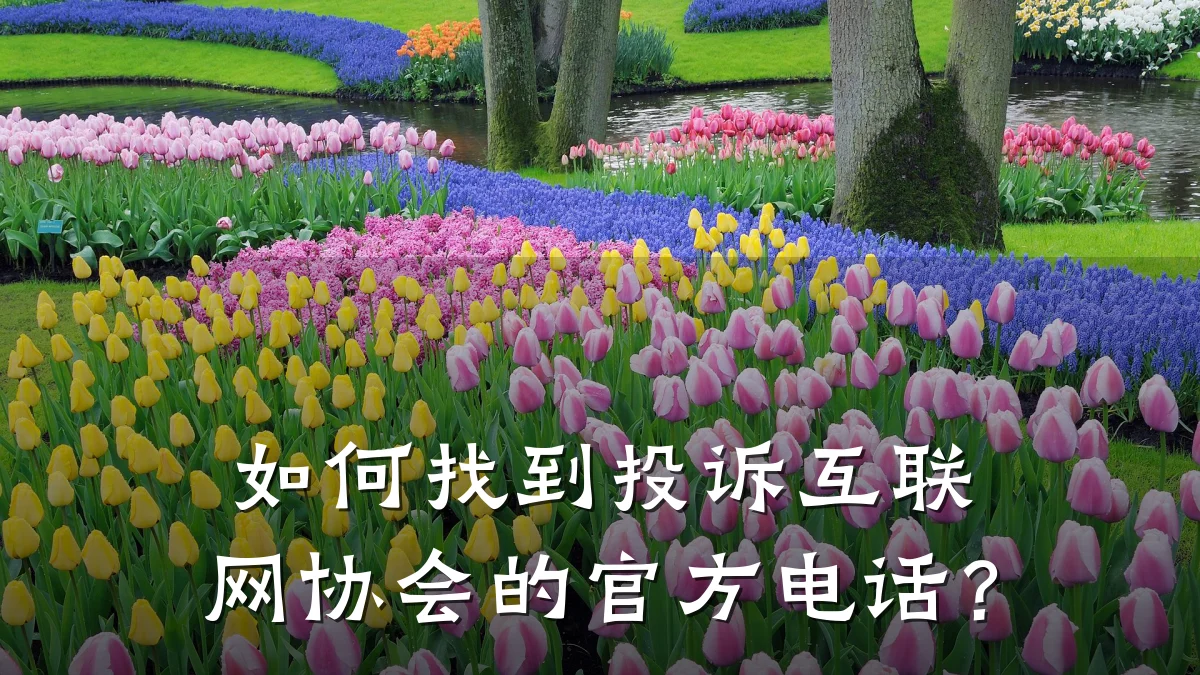 如何找到投诉互联网协会的官方电话?