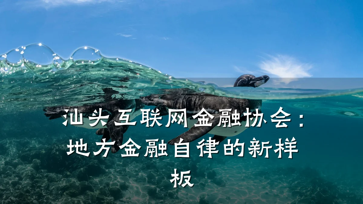 汕头互联网金融协会:地方金融自律的新样板