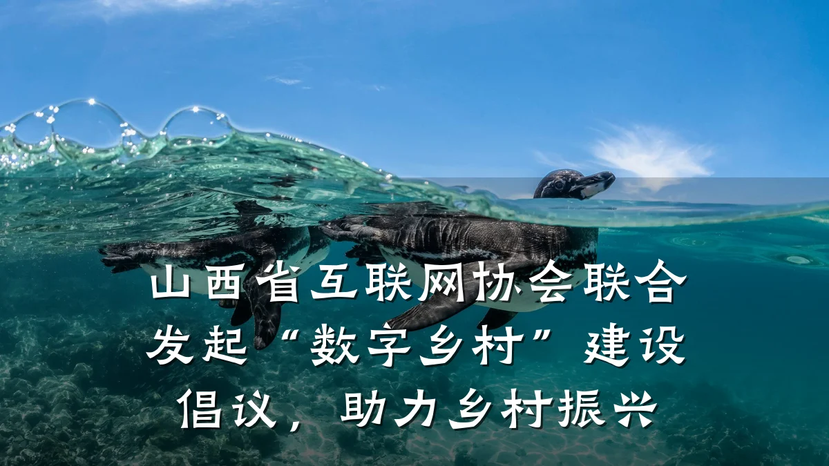 山西省互联网协会联合发起“数字乡村”建设倡议,助力乡村振兴