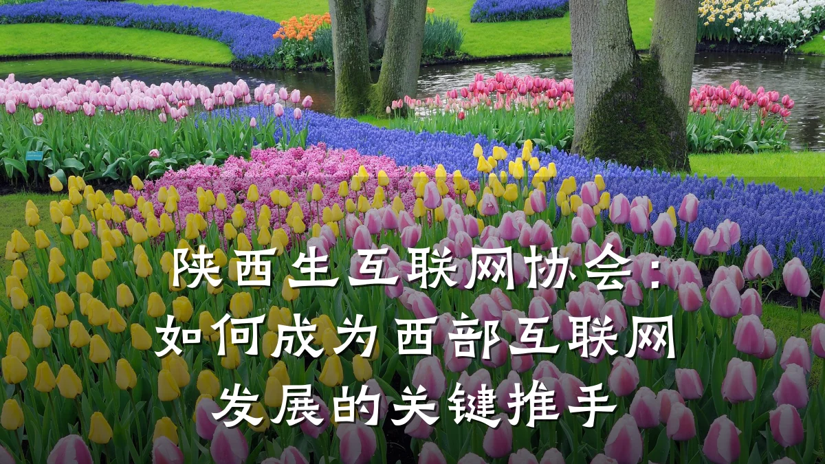 陕西生互联网协会:如何成为西部互联网发展的关键推手