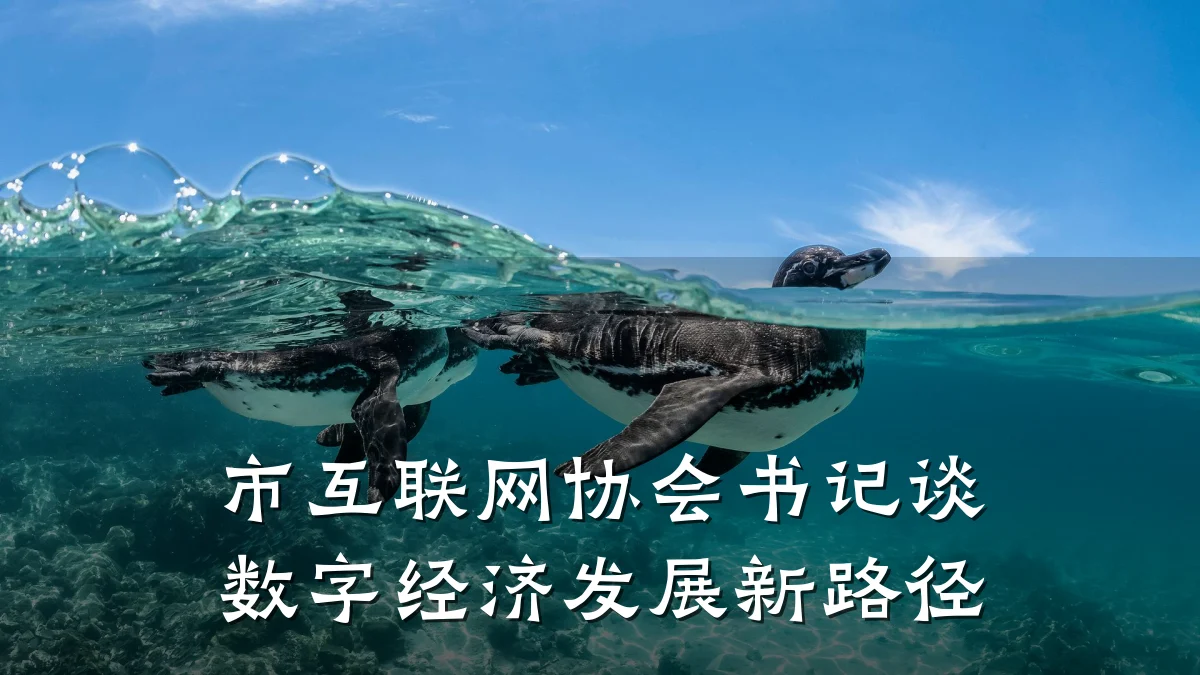 市互联网协会书记谈数字经济发展新路径