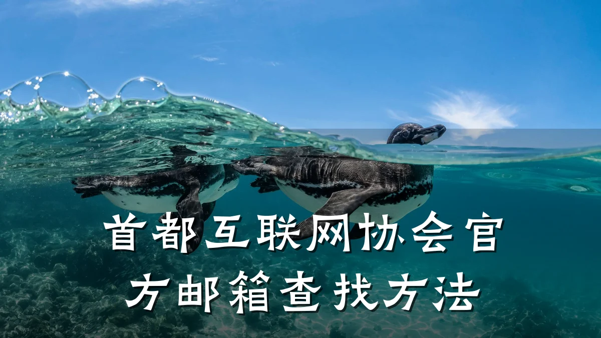 首都互联网协会官方邮箱查找方法