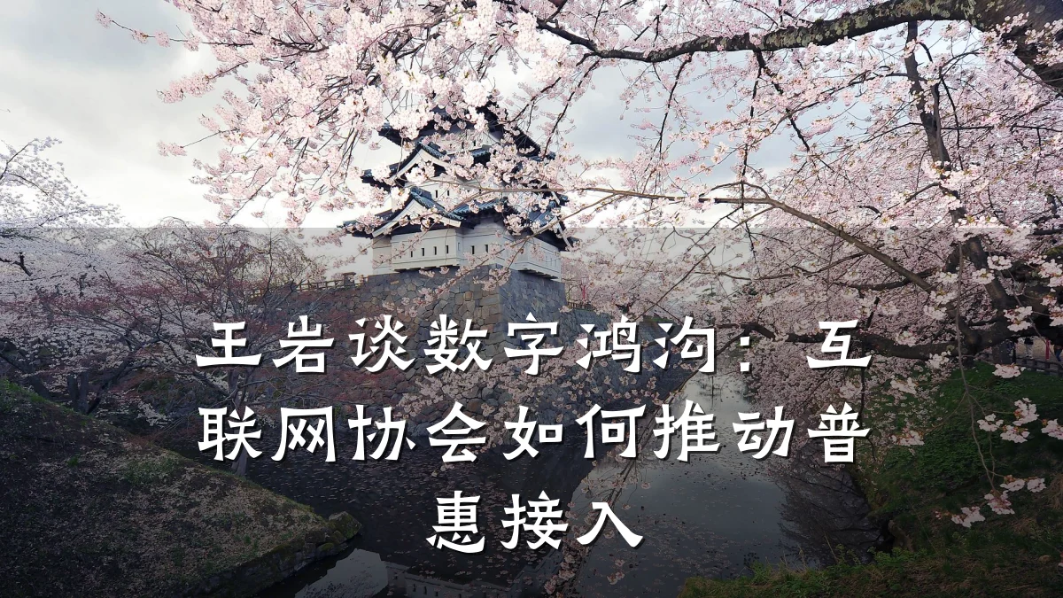 王岩谈数字鸿沟:互联网协会如何推动普惠接入