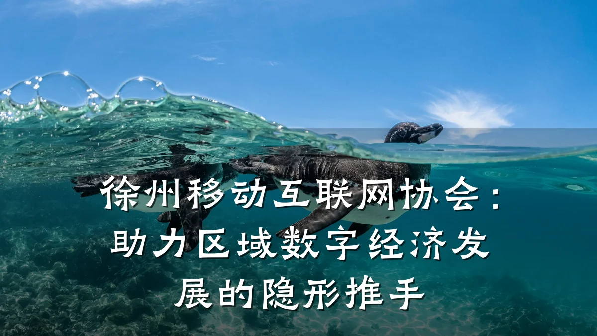 徐州移动互联网协会:助力区域数字经济发展的隐形推手
