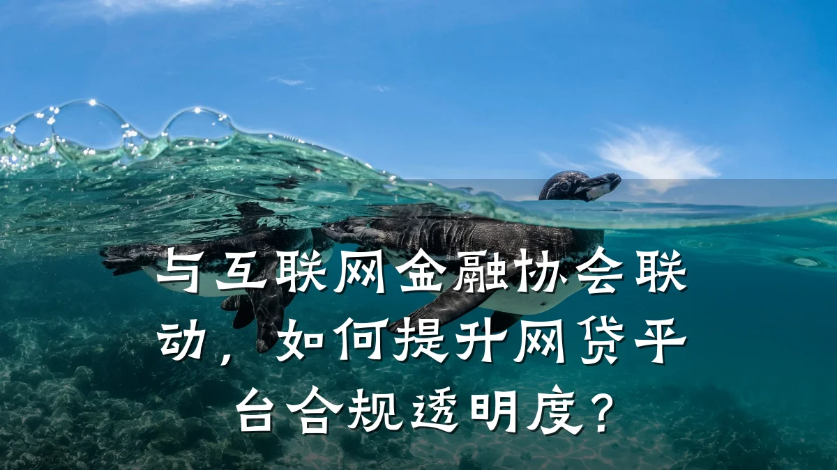 与互联网金融协会联动,如何提升网贷平台合规透明度?