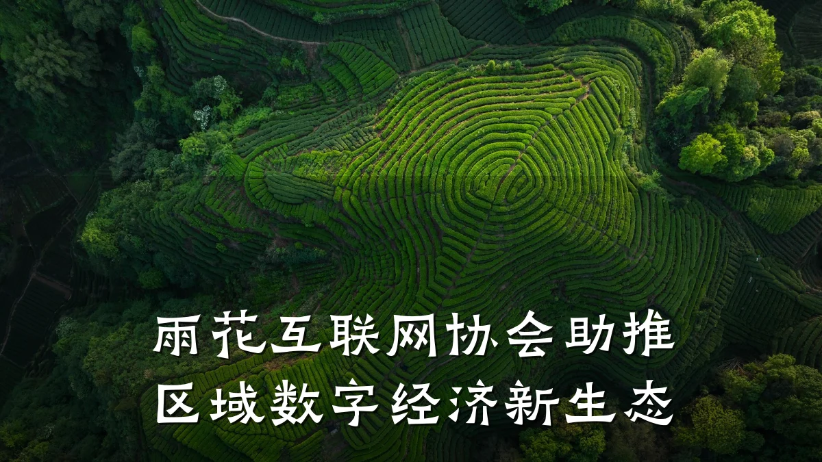 雨花互联网协会助推区域数字经济新生态