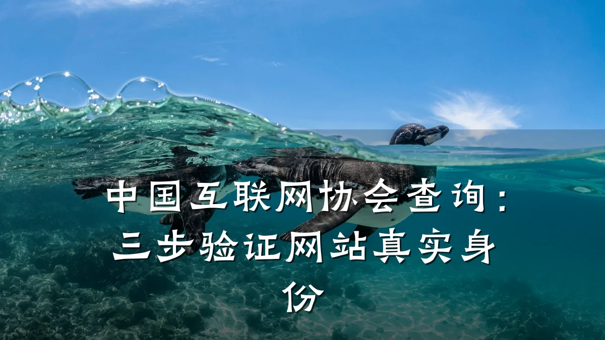 中国互联网协会查询：三步验证网站真实身份