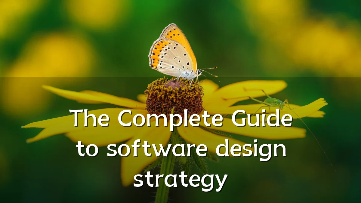 The Complete Guide to software design strategy