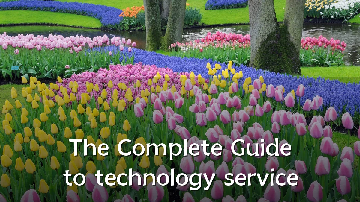 The Complete Guide to technology service